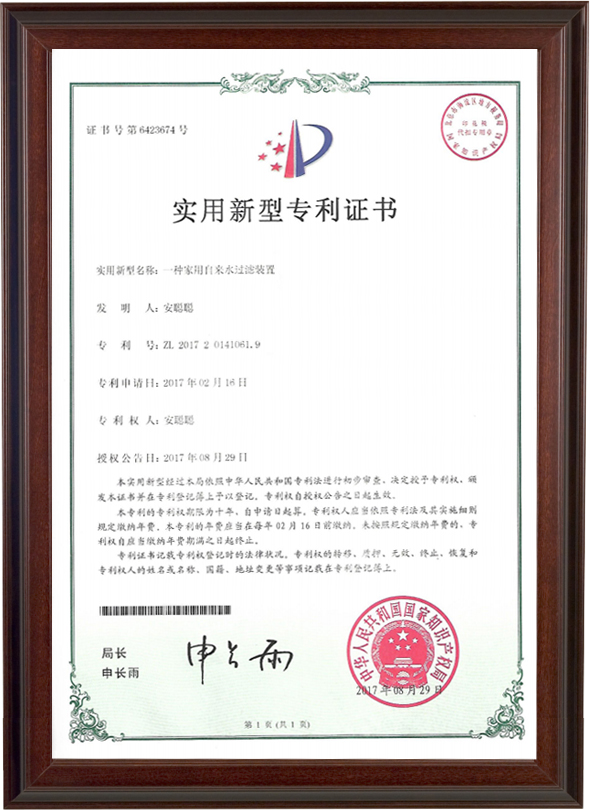 Certificate 6
